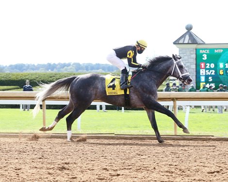 Knicks Go wins an allowance optional claiming Sunday, October 4, 2020 at Keeneland