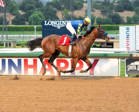 Classier wins maiden special weight October 24, 2020 at Santa Anita