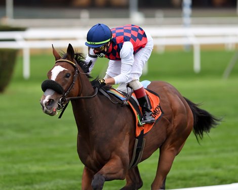 Royal Approval wins the Matron Stakes Sunday, October 11, 2020 at Belmont Park