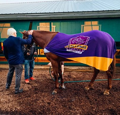 Bob Baffert and Swiss Skydiver