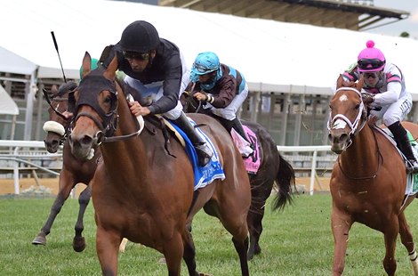 A Great Time takes the The Very One Stakes