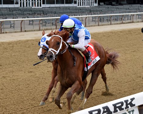 Happy Saver wins the 2020 Jockey Club Gold Cup at Belmont Park                  