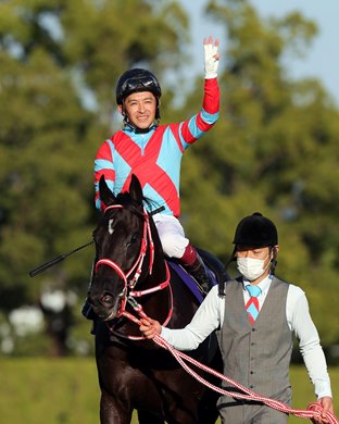 Contrail wins 2020 Kikuka Sho at Kyoto