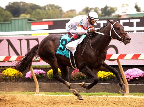 Yaupon wins the 2020 Chick Lang Stakes at Pimlico