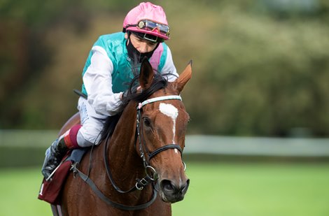 Enable (Frankie Dettori) after the Arc<br><br />
Longchamp 4.10.20 Pic: Edward Whitaker