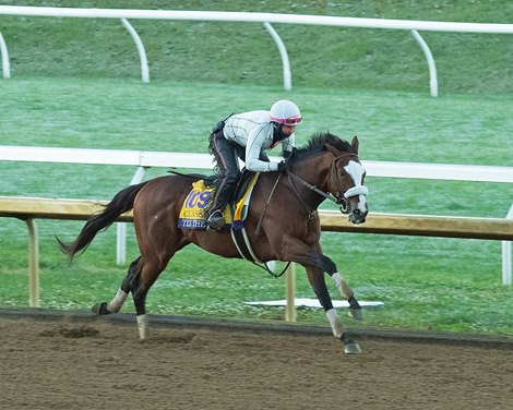 Tiz the Law with Heather Smullen works<br><br />
Breeders’ Cup horses at Keeneland in Lexington, Ky. on October 31, 2020. 