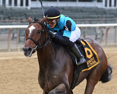 Brooklyn Strong wins the 2020 Sleepy Hollow Stakes at Belmont Park