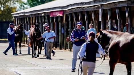 October 4, 2020: Scenes as prospective buyers inspect horses during the Fasig-Tipton Fall Sale at the Timonium Fairgrounds in Timonium, Maryland