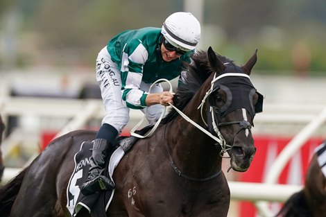 Yulong Prince (SAF) ridden by Damian Lane wins the Kennedy Cantala at Flemington Racecourse on October 31, 2020 in Flemington, Australia. (Scott Barbour/Racing Photos) 