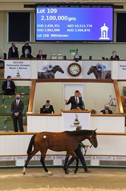 Lot 109 Dubawi (IRE) / Cushion (GB) B.C. (IRE)       Floors Stud    Godolphin    2,100,000  <br><br />
Tattersalls<br><br />
October Yearling Sale Book 1<br><br />
06/10/20