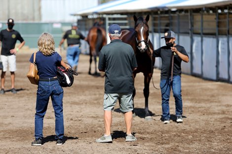 Scenes around the sales grounds of the 2020 Fasig-Tipton California Fall Yearling Sale, Los Alamitos Race Course, CA 10.16.2020.