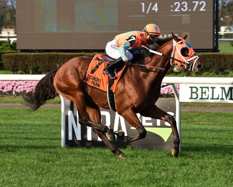 Somelikeithotbrown wins the 2020 Mohawk Stakes at Belmont Park                                 