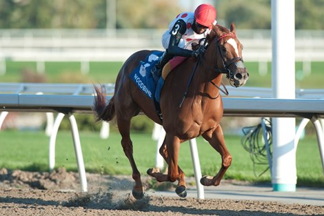 Jockey Patrick Husbands guides Souper Sensational to victory in the $100,000 dollar Glorious Song stakes.Souper Sensational is owned by Live Oak Plantation and trained by Mark Casse. Michael Burns Photo 