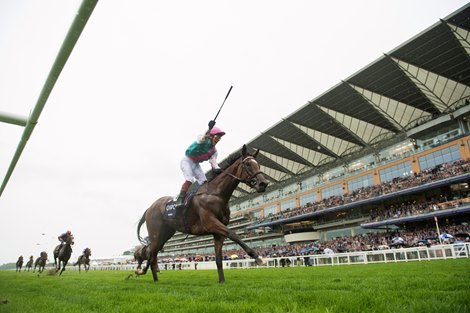 Enable (Frankie Dettori) wins the King George VI and Queen Elizabeth Stakes<br>
Ascot 29.7.17