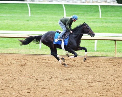 Maxfield - Morning - Keeneland - 102520