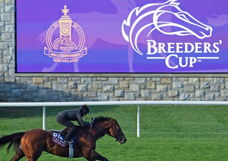 Leinster works on turf<br><br />
Breeders’ Cup horses at Keeneland in Lexington, Ky. on October 31, 2020. 