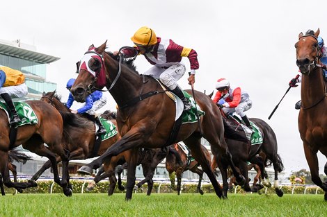 Shout The Bar ridden by Damien Oliver wins the TAB Empire Rose Stakes at Flemington Racecourse on October 31, 2020 in Flemington, Australia. (Pat Scala/Racing Photos) 