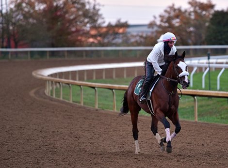 October 22, 2020: Belmont Stakes and Travers winner Tiz The Law, Heather Smullen up, prepares for the Breeders&#39; Cup Classic Thursday morning at Keeneland...<br><br />
