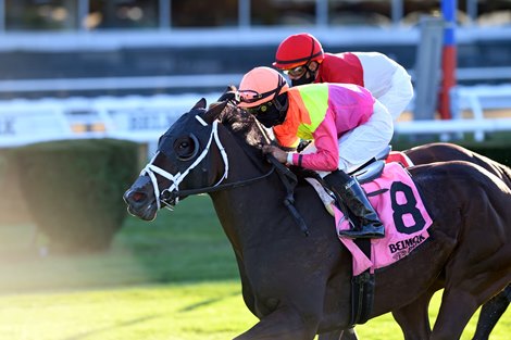 Lead Guitar wins the 2020 Floral Park Stakes at Belmont Park