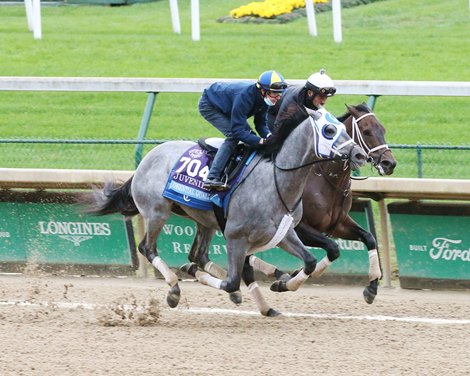 Essential Quality - Work - Churchill Downs - 103020