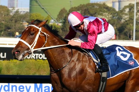 Arcadia Queen wins the 2019 Tooheys 150th Birthday Theo Marks Stakes