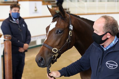 Lot 374 Galileo (IRE) / Prize Exhibit (GB) B.F. (IRE)      Barronstown Stud, Ireland    M V Magnier    2,800,000  Tattersalls<br><br />
October Yearling Sale Book 1<br><br />
08/10/20