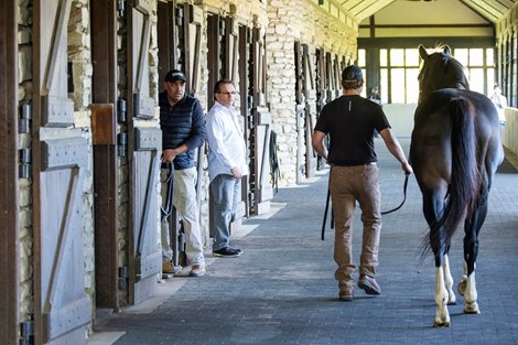 Xalapa Farm 2020  Stallion move to Xalapa property. John Sikura (white shirt) looks on as Violence arrives at Xalapa.