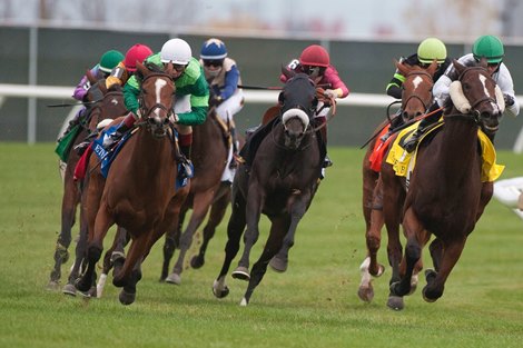 Etoile wins the E. P. Taylor Stakes Sunday, October 18, 2020 at Woodbine