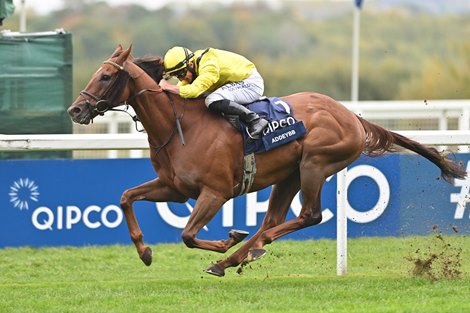 Tom Marquand winning The Qipco British Champion Stakes on Addeybb