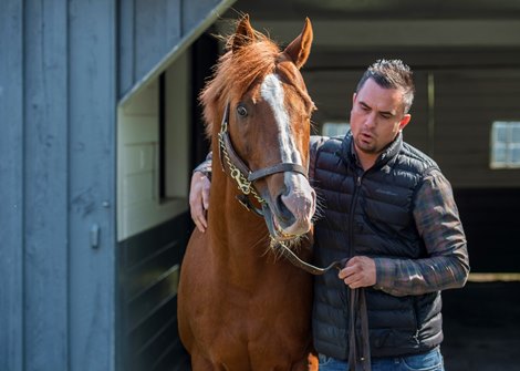 Waldorf Farm manager Kenny Toye with works with stallion Bustin Stones Saturday Oct. 10, 2020 in North Chatham, N.Y.   Photo by Skip Dickstein