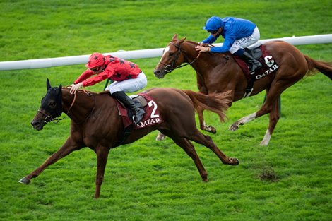 The Revenant (PC Boudot) beats Ziegfeld in the Prix Daniel Wildenstein Longchamp 3.10.20