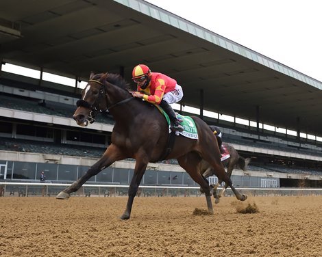 Dayoutoftheoffice wins the 2020 Frizette Stakes at Belmont Park                  