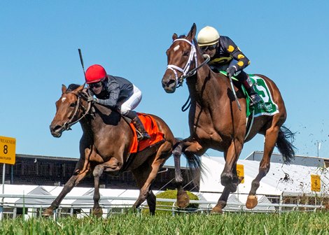 Evil Lyn wins the 2020 Hilltop Stakes at Pimlico