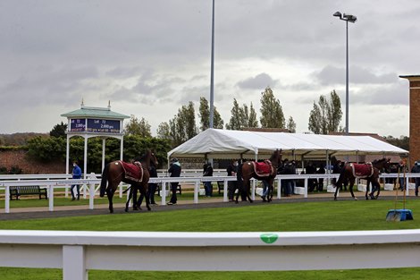 Tattersalls<br><br />
Autumn Horses In Training Sale<br><br />
26/10/20