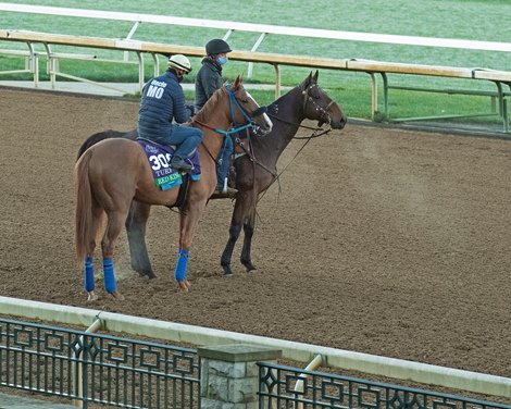 Red King Breeders’ Cup horses at Keeneland in Lexington, Ky. on October 31, 2020. 