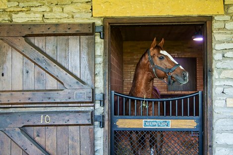 Xalapa Farm 2020</p>

<p>Stallion move to Xalapa property.