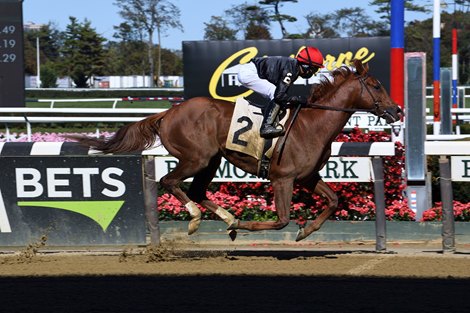 Performer - AOC, Belmont Park, October 17, 2020