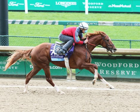 Sittin on Go - Work - Churchill Downs - 103020