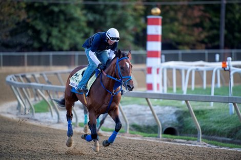 Mr. Big News on track at the Pimlico Race Course Thursday Oct 1, 2020 in preparation for Saturday’s 145th Preakness Stakes.in Baltimore, MD.  