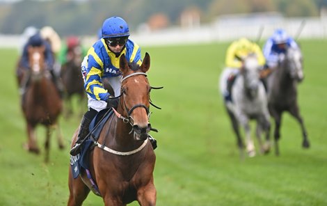 Hollie Doyle winning The Qipco British Champions Long Distance Cup on Trueshan