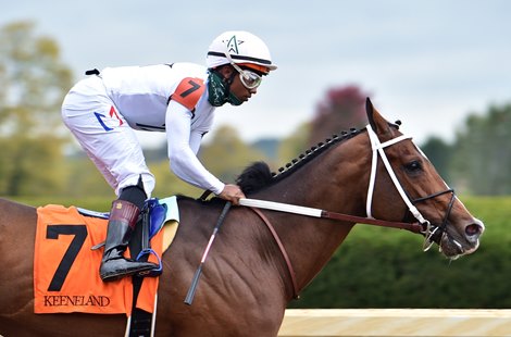 October 10, 2020; Nashville, Ricardo Santana up, wins a NW2 Allowance race at Keeneland.<br><br />
The son of Speightstown in now 2/2 lifetime