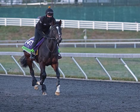 Kameko Breeders’ Cup horses at Keeneland in Lexington, Ky. on November 2, 2020. 