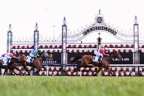 Arcadia Queen ridden by Luke Currie wins the Seppelt Mackinnon Stakes at Flemington Racecourse on November 07, 2020 in Flemington, Australia.