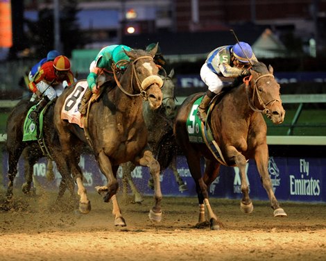 Blame wins the 2010 Breeders' Cup Classic