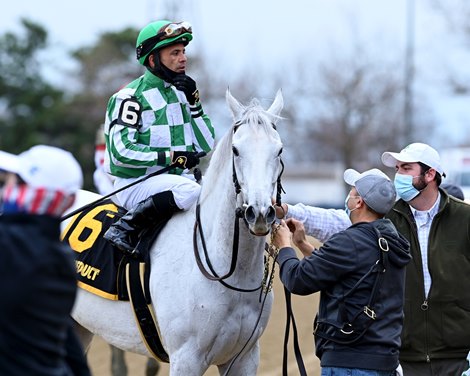 Mrs. Danvers wins the 2020 Comely Stakes