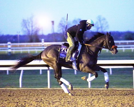Hot Rod Charlie - Gallop - Keeneland - 110420