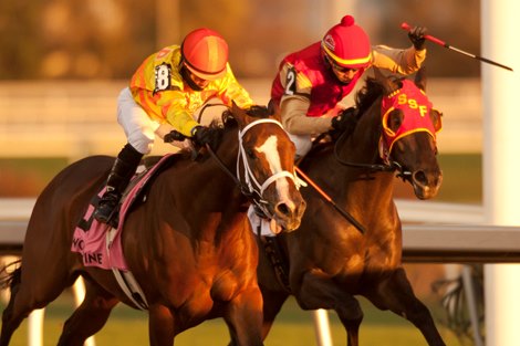 Jockey Justin Stein (yellow silks orange cap) guides Stephen to victory in the 117th running of the Coronation Futurity at Woodbine.Stephen is owned by Al and Bill Ulwelling and trained by Kevin Attard. Michael Burns Photo