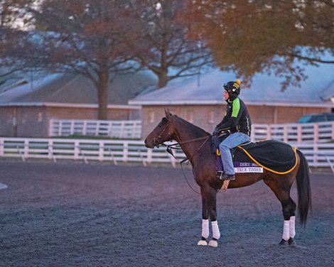 True Timber<br><br />
Breeders’ Cup horses at Keeneland in Lexington, Ky. on November 2, 2020. 