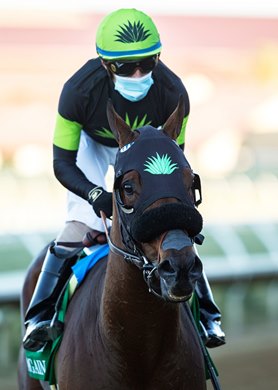 Jockey Juan Hernandez guides Count Again to the winner&#39;s circle after their victory in the G2, $200,000 Seabiscuit Handicap, Saturday, November 28, 2020 at Del Mar Thoroughbred Club, Del Mar CA.