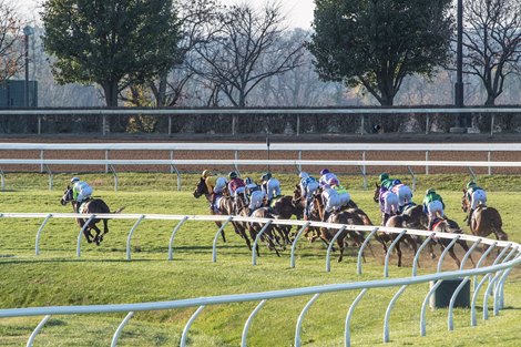 Aunt Pearl ridden by Florent Geroux wins the $1M Breeders’ Cup Juvenile Fillies Turf(G1)  at Keeneland Race Course Friday Nov. 6 2020 in Lexington, KY